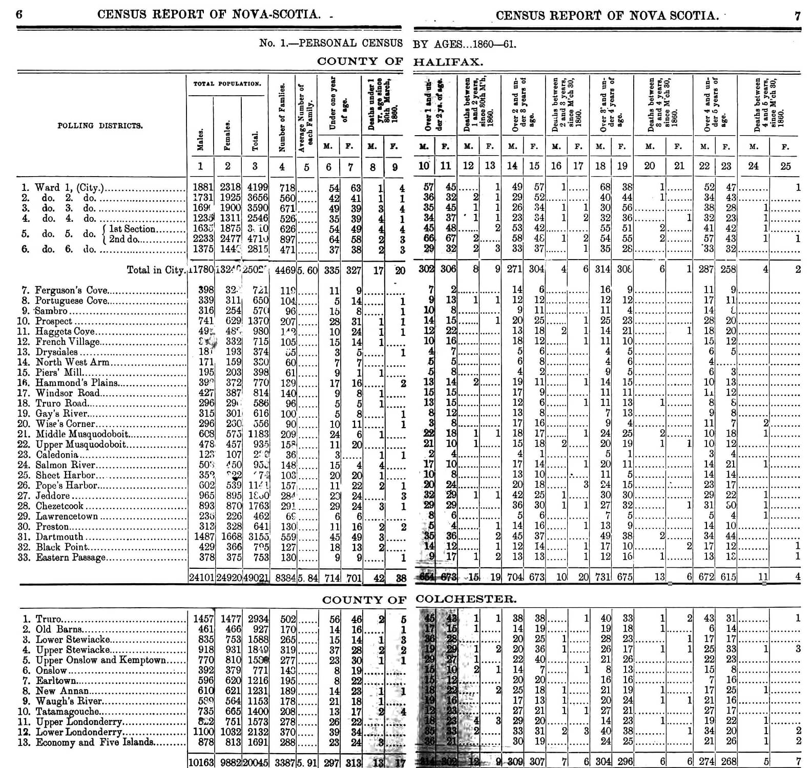 Census, Township of Dartmouth, 1861