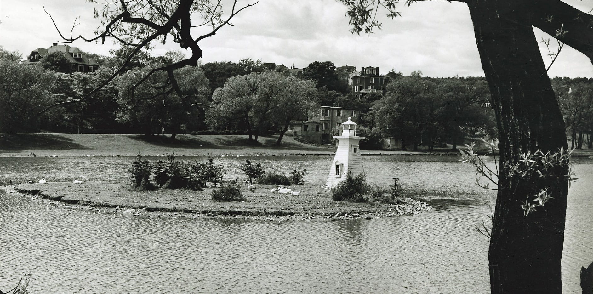 Sullivan’s Pond, 1955